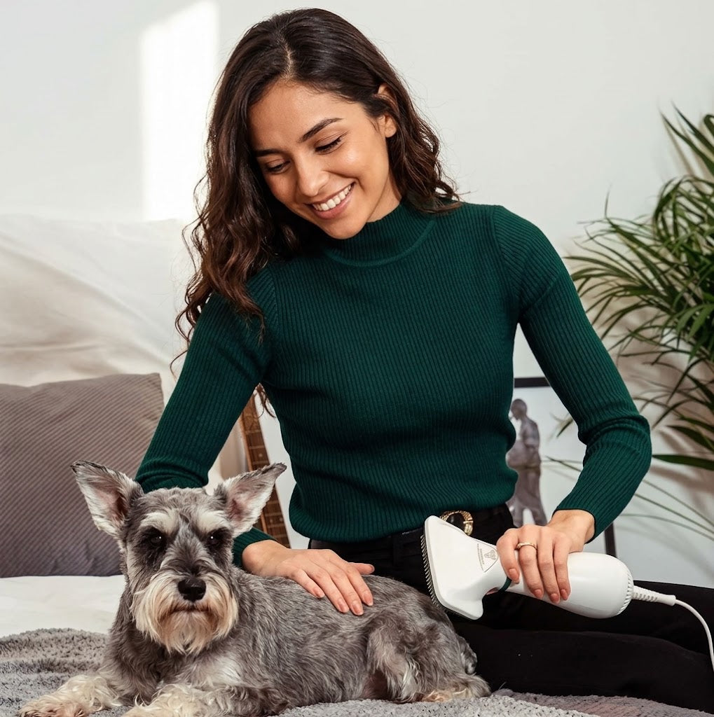 Cepillo Secador para Perros y Gatos 2 en 1